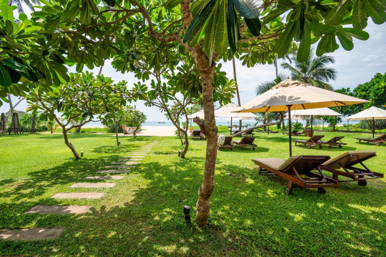 Shinagawa Beach Balapitiya Eksteriør bilde